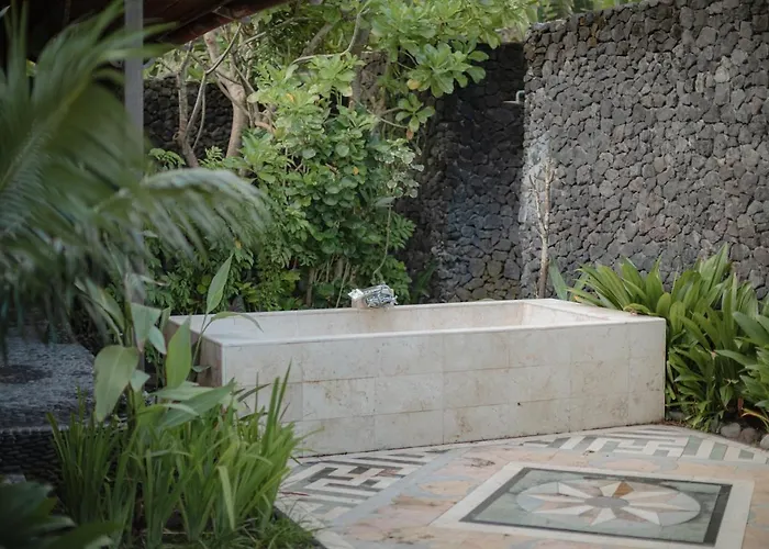 Secret Moon House Jasri
